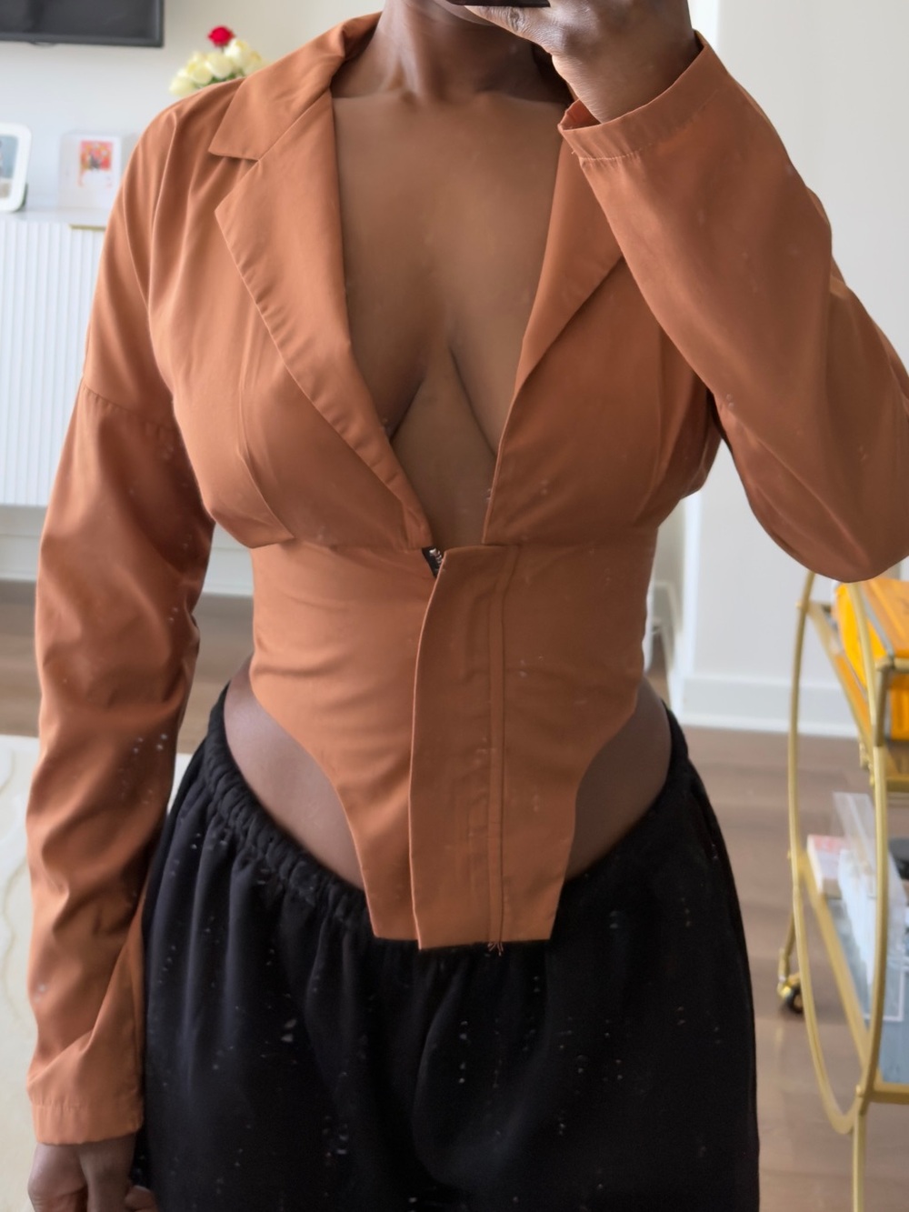 Brown V-Neck Low Cut Zip Waist Top - Picture 8 of 8